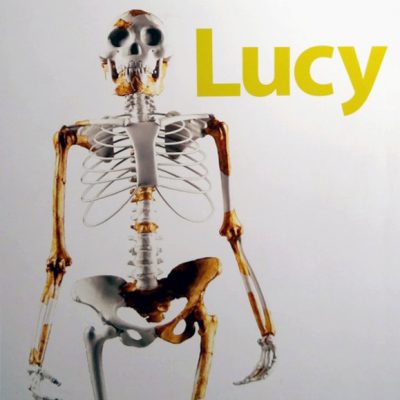Reconstitution de Lucy