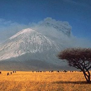 La savane